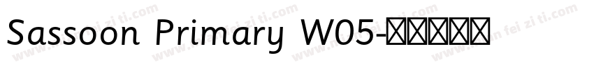 Sassoon Primary W05字体转换